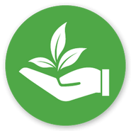 Green logo of a hand holding a leaf.