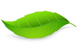 Counselling green leaf.