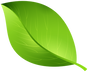 autism green leaf
