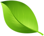 psychologists green leaf